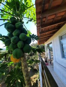 Φωτογραφία από το άλμπουμ του Casa Ártemis Paraty σε Sertão do Taquari
