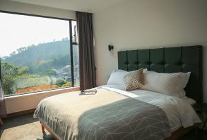 a bedroom with a large bed with a large window at Hangzhou Spring B&B in Hangzhou