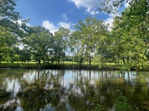 ein Teich in einem Park mit Bäumen und Wolken am Himmel in der Unterkunft Bailey wick farm Jackson river retreat in Covington + 11 Fotos