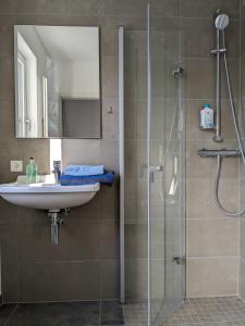 y baño con lavabo y ducha con espejo. en Badischer Neubau-Ruhe-Kunst-Natur, en Rheinau