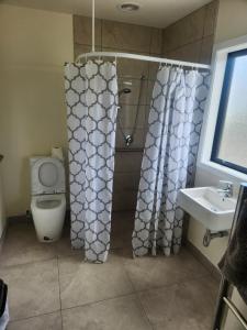 un bagno con un water e un lavandino di The White House a Tokoroa Altre 7 foto