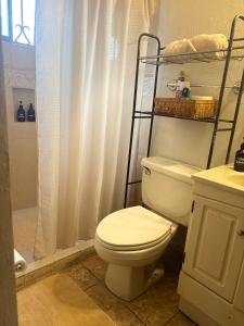 uma casa de banho com um WC branco e um chuveiro em Casa Arboleda em Saltillo
