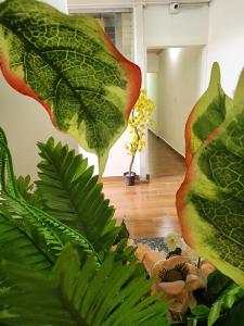 um quarto com uma grande planta verde em GYWEL 1214 em San Salvador