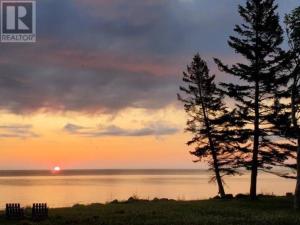 Příroda nedaleko prázdninového domu