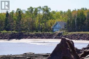 Příroda nedaleko prázdninového domu + 5 fotografií