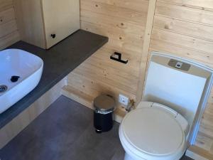 a bathroom with a white toilet and a sink at Roque Rouge Cottage by Tiny Away in Bédarieux +4 photos