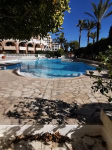 a large swimming pool with palm trees and a building at Appartement en bord de mer in Cannes