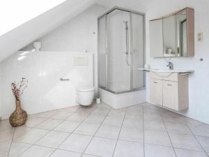 a bathroom with a shower and a toilet and a sink at Space Comfortable holiday residence in Ostseebad Koserow +13 photos