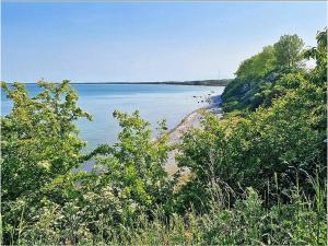 ブレーゲにあるPatricia Comfortable holiday residenceの岸に鳥の群れがいる大きな水域