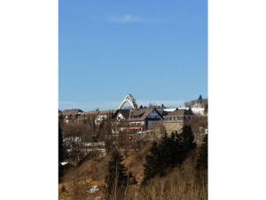 Una vista de una ciudad con el arco de entrada al fondo. en Winterberg Comfortable holiday residence, en Winterberg