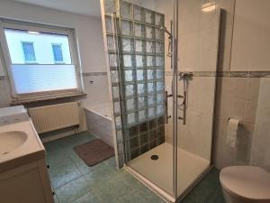a bathroom with a shower and a toilet and a sink at Earth Comfortable holiday residence in Ostseebad Koserow +13 photos