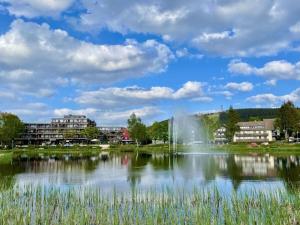 Naturlandskabet i nærheden af feriehuset