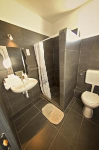 La salle de bains est pourvue d'un lavabo, de toilettes et d'une douche. dans l'établissement Luca Apartman, à Sopron