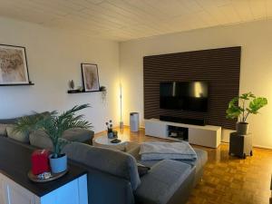 sala de estar con sofá y TV de pantalla plana en Lovely apartment near the water, en Weilburg