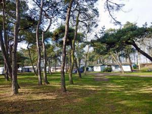 Κήπος έξω από το Wallocha Comfortable holiday residence +5 φωτογραφίες