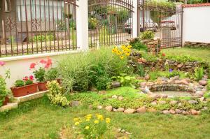 Fotografie z fotogalerie ubytování Guest House Nocturno v destinaci Berkovica