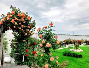 Zahrada ubytování Lake View House