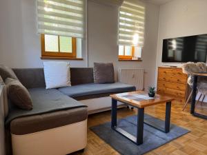 Posezení v ubytování APARTMA MORAVSKE TOPLICE