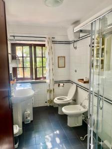 ein Bad mit einem WC und einem Waschbecken in der Unterkunft Heerlijke villa met privé zwembad & 5 slaapkamers dicht bij Lucca en Pisa in Monsagrati