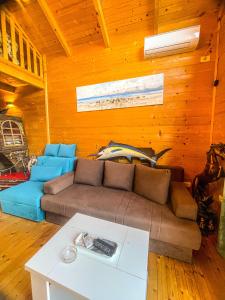 Gallery image of Toys and Us 2 in Ulcinj