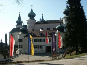 een gebouw met meerdere vlaggen ervoor bij Holiday home Goldegg in Artstetten