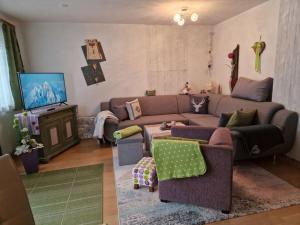 a living room with a couch and a tv at Comfortabel vakantieappartement in Hofen