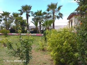 a garden with palm trees and bushes in front of a house at Charmante maison de campagne in Temara