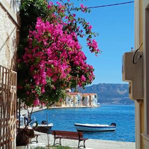 un árbol con flores rosas y un barco en el agua en Castellorizon Pensione en Meyisti