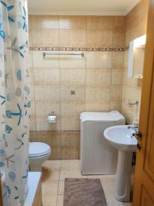 La salle de bains est pourvue de toilettes et d'un lavabo. dans l'établissement Ives Studio Aridaia, à Aridaía