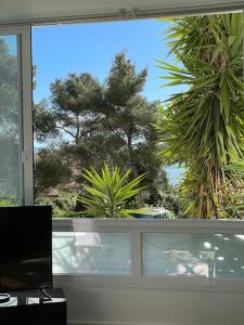 une fenêtre avec vue sur un palmier dans l'établissement Appartement neuf, 2 chambres, climatisé, route des Sanguinaires, à Ajaccio