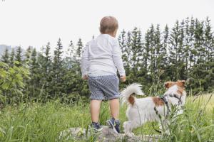 Domácí mazlíčci ubytovaní s hosty v ubytování Sloho Bergurlaub