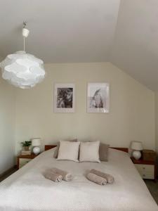 1 dormitorio con 1 cama con 2 almohadas en Willa Polanka en Gościno