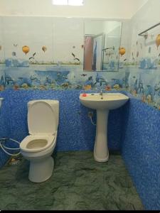 ヌワラエリヤにあるHikers holiday homeのトイレと洗面台付きのバスルーム
