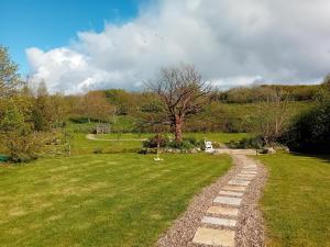 a stone path through a field with a tree at Galway Riverside Retreat in Galway