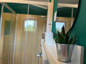 une plante en pot assise sur un comptoir dans une salle de bains dans l'établissement Studio Apartma Olive, Nova Gorica, Slovenia, à Nova Gorica
