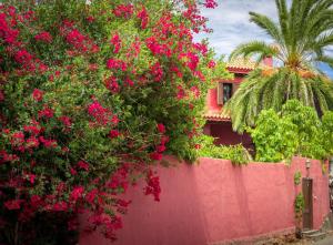 En have udenfor Casa El Gamonal