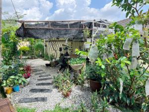 a garden with a bunch of plants in it at Leisure Homestay in Kampong Peruntun