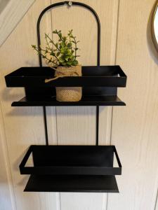 two black shelves with a plant on a wall at Kuscheliges Mini-Vintage-Zimmer in Felsberg