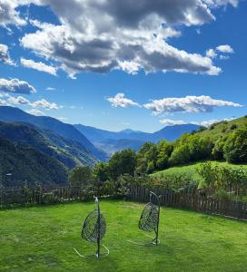 two metal sculptures in a field with mountains in the background at Gasthaus Alpenflora in Auna di Sopra