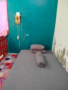 Bett in einem Zimmer mit grüner Wand in der Unterkunft Atta Ratu Homestay in Komodo