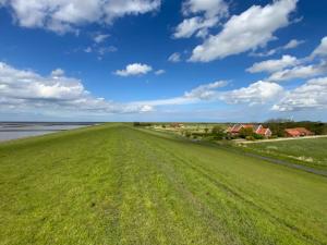 a field of green grass with houses in the background at Ferienwohnungen Zollhaus Utlandshoern in Norden