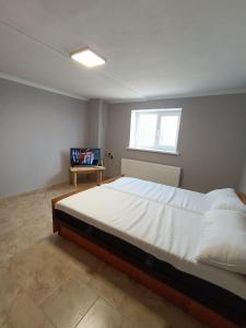 ein Schlafzimmer mit einem großen Bett und einem Fenster in der Unterkunft Hotel Giurgiulesti 
