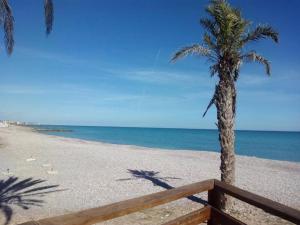 two palm trees on a beach with the ocean at Castellon, Moncofar playa in Moncófar