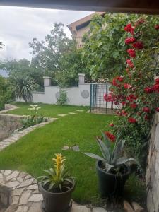 Jardí fora de Mini Garsonjera