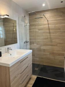 a bathroom with a sink and a shower at La p tite maison in Gien