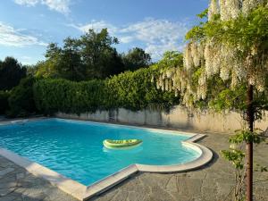 una piscina con un frisbee en el agua en Cascina gnocca VIVERONE avventura, en Viverone