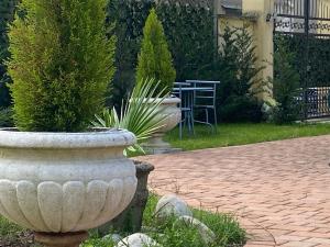 two large vases with plants in them on a patio at SAVANY B&Apartments in Buscate
