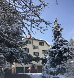 Romantic two bedroom apartments close to Normafa with private parking v zime