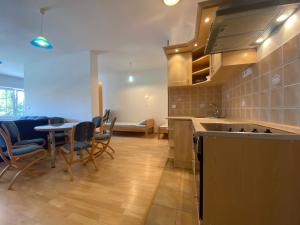 a kitchen with a table and chairs and a sink at apartmán Maják u Žermanické přehrady in Pitrov +12 photos