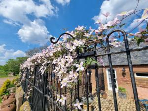 a fence with pink flowers on it at Eco Indigo in Dunbar +44 photos